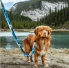 Dog Leash With Handle Loop Outdoor Sport Black Pet Leash Lead Nylon Reflective
