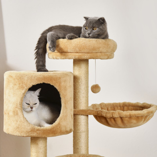 Large Cat Tree Pet Litter Large Multi-Level Jumping Platform House Multi-Cat Litter Cat Trees & Scratcher