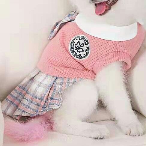 2023 Autumn Winter PuppyPet Sweater Dress Cat Dress Small Medium Dog Pet Clothes Bow Tie Dog Dresses Puppy Couple Clothes Pug