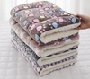 2024 Coral Fleece Soft Fluffy Warm Pet Autumn Winter Thicken Mat Dog Cat Blanket for Little Dogs on The Pet Beds