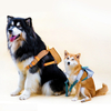 Pet Supplies Accessories Toy Supplier Mesh Pattern Cat Safety Small Cute Dog Backpack Harness