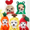Cute Fruit Dog Clothes for Small Dogs Hoodies Warm Fleece Pet Clothing Puppy Cat Costume Coat for French Chihuahua Jacket Suit