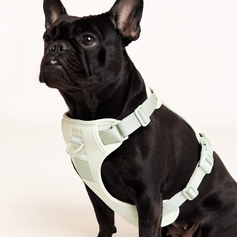 Luxury Custom Soft No Pull Front Clip Dog Harness Vest Personalized Soft Padded Pet Harness for Large Medium Small Dogs