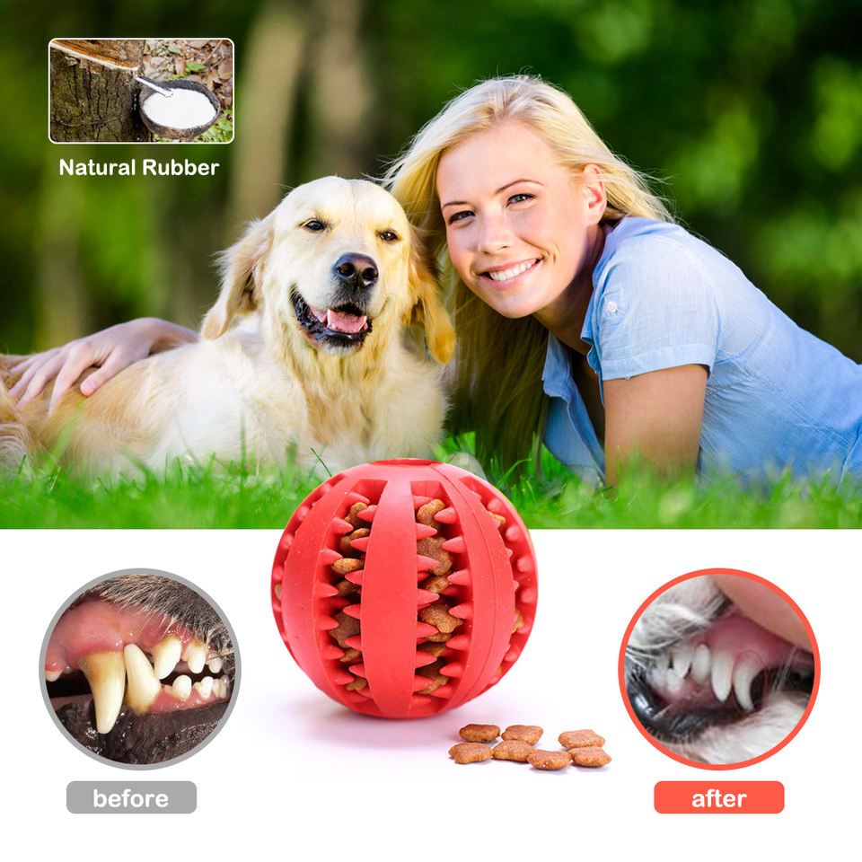 Pet Toy Durable Soft Rubber Ball Chew Toys Tooth Cleaning Leakage Food Dog Toys