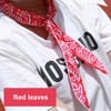 Scarf Cashew Flowers Hip Hop Printed Bandana Wristband Men Women Outdoor Headbands Band Wrist Wraps Hair Scarves