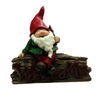 2025 Wholesale Mini Middle Finger Garden Gnome Resin Outdoor Figurines Garden Decor for Fairy Party Christmas Gnomes Decoration