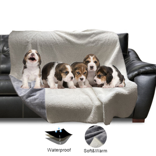 Custom Logo Soft Fluffy Flannel Sherpa Fleece Pet Sleep Mat Machine Washable Waterproof Pet Dog Blanket For Couch Chairs