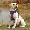 High Quality Custom Logo Waterproof Reflective Adjustable Dog Vest Designer Luxury No Pull Pet Dog Harness