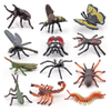 Pack of 12 Insect Bugs Figures Educational Animal Figurines Children Interactive Toys Set Accessory School Classroom