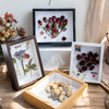 3D Photo Frame Glass Specimen Frame Dried Flower Collection Display Supplies Desktop Ornament for Bedroom Room Decor Cadre 3d