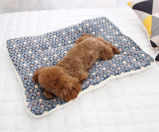 2024 Coral Fleece Soft Fluffy Warm Pet Autumn Winter Thicken Mat Dog Cat Blanket for Little Dogs on The Pet Beds