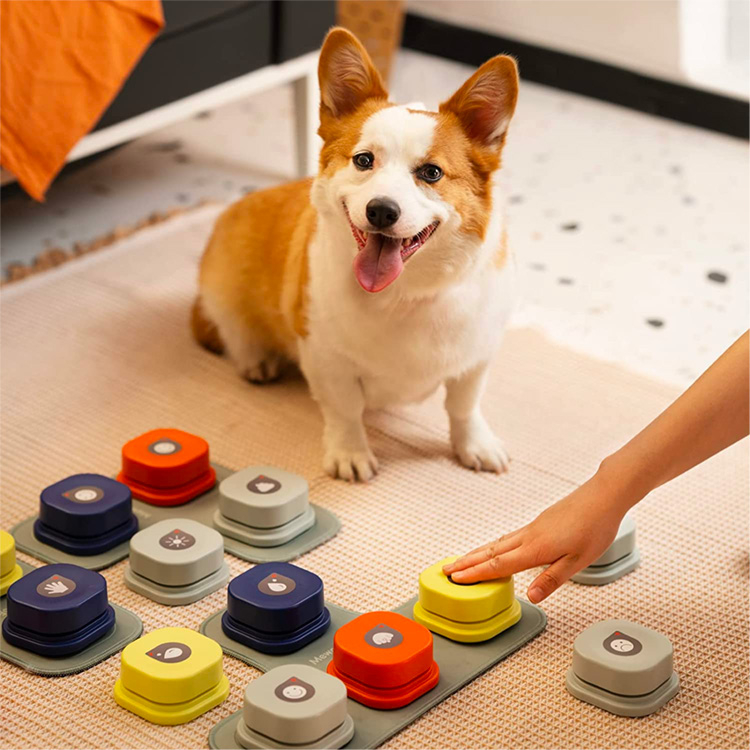 Dog Treat Puzzle Toy Professional Manufacturer Pet Educational Toys
