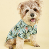 Summer Beach Shirts Dog Cute Hawaii Casual Pet Cat Clothing Floral T Shirt For Small Dogs Chiahuahua French Fulldog Clothes Coat