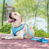 Printed Pet Harness Set Fashion Pet Leash Set Adjustable Cat And Dog Vest Collar Pet Leash