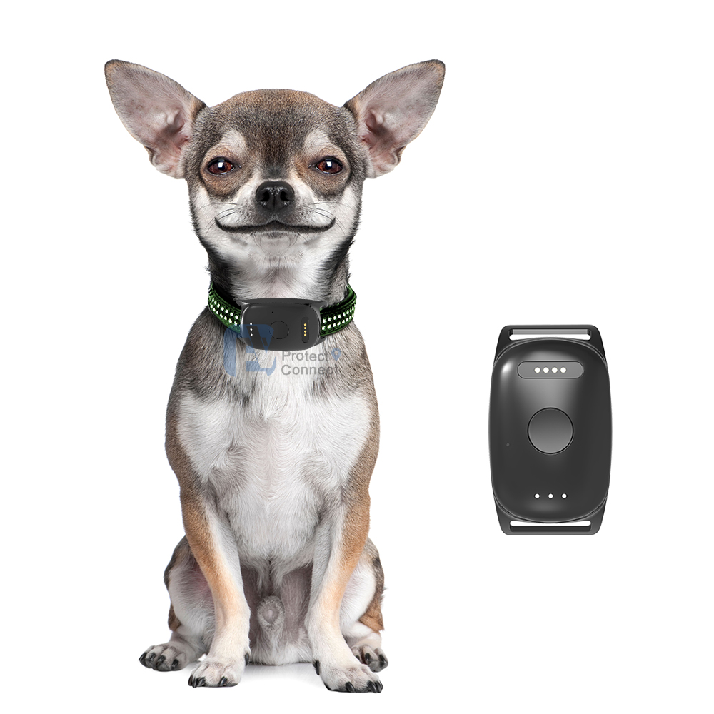 Real Time Tracking Smart Geo Fencing Pet Collar GPS Tracker for Dog Cat