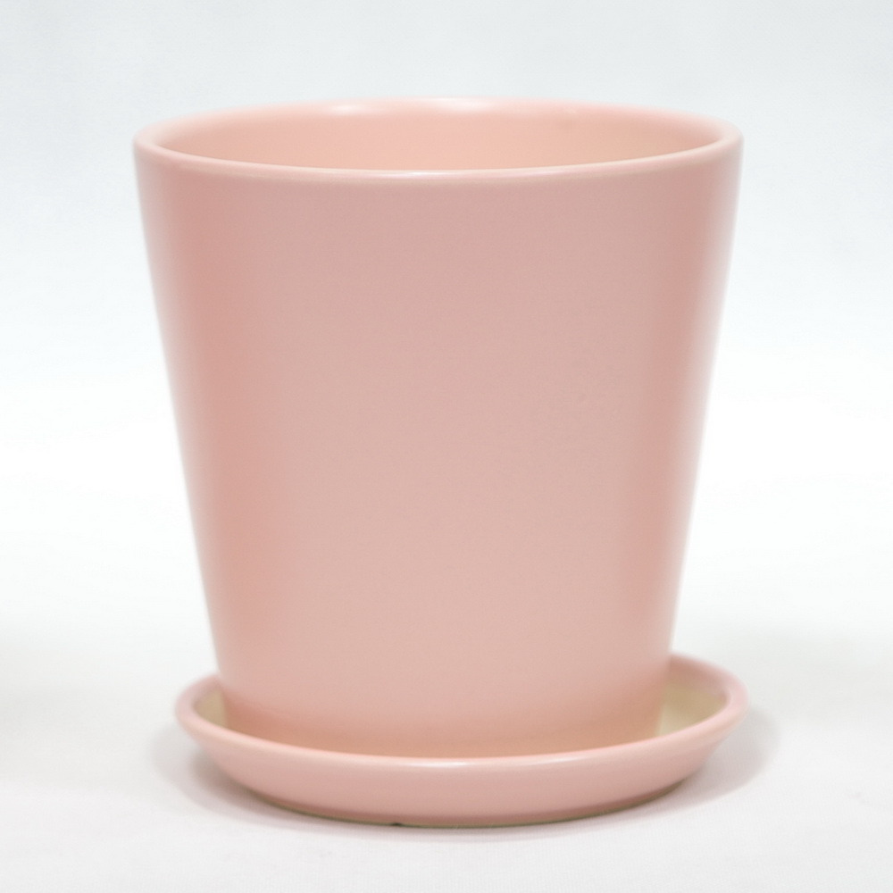 Modern Indoor Plant Pot Desktop Succulent Matte Color Ceramic Mini Planter Pot with Saucer