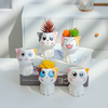 Creative Cartoon Animals Ceramic Flowerpot Cat Shaped Cute Potted Plant Desktop Potted Expression Cat Plant Pot Desk Decorate