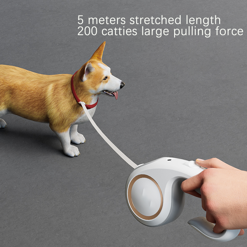 Wholesale Dog Pet Leash 5m Durable Automatic Retractable Nylon Extension Puppy Running Dog Leash Walking
