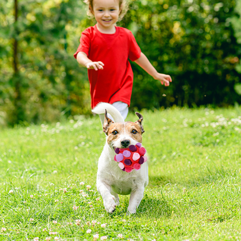 Dog Sniffing Ball Puzzle Interactive Toy Portable Pet Snuffle Ball Encourage Training Educational Pet Slow Feeder Dispensing Toy