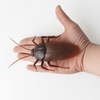 Trick Toys Infrared Electric Spiders Cockroaches Realistic Models Induction Toys Halloween Horror Props Practical Jokes Insects