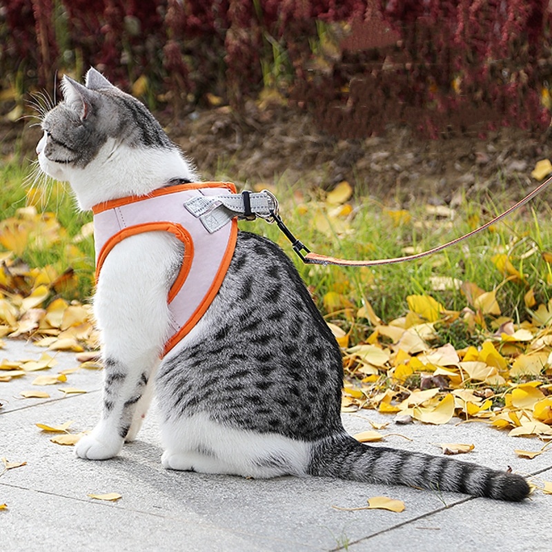 Pet Polyester Leash Breathable Mesh Harness For Dog Walking Small Dogs And Cats