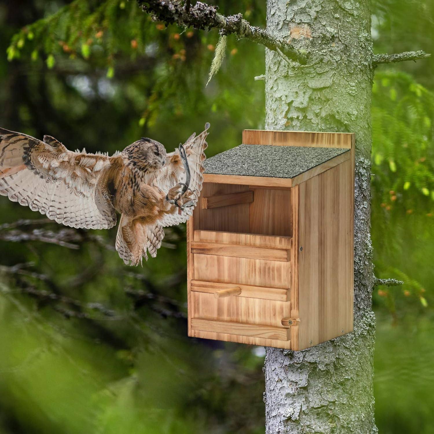 House for Outdoors Screech Owl Nesting Box Barn Owl Bird House for Outside Large Wooden Rectangular Opening Bird Box