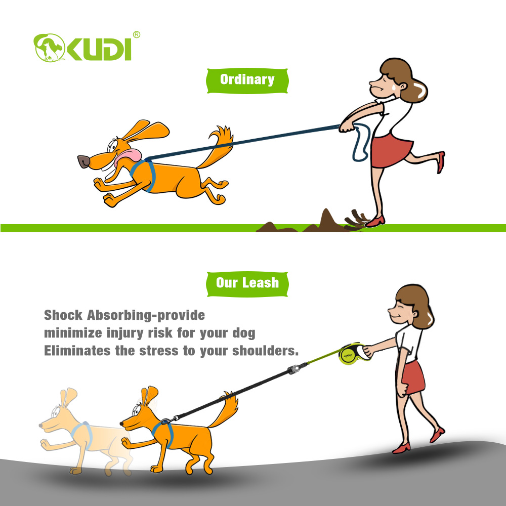 Custom Heavy Duty Extra Bungee Extendable Pet Reflective Nylon Walking Retractable Dog Leash For Large Medium Small Breeds