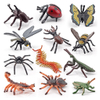 Pack of 12 Insect Bugs Figures Educational Animal Figurines Children Interactive Toys Set Accessory School Classroom