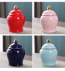 Gold Plated Tea Canister Sealed Ceramic Storage Jar with Lids Porcelain Coffee Container Desk Decoration Tea Cans Candy Pots