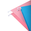 A4/FC Size Color Suspension Hook Custom Pvc Fastener Paper Hanging File Folder