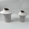 Wholesale Modern Ceramic Vases Art Decor Nordic Luxury Styles Porcelain Pottery Indoor Home Decor Weddings Tabletop