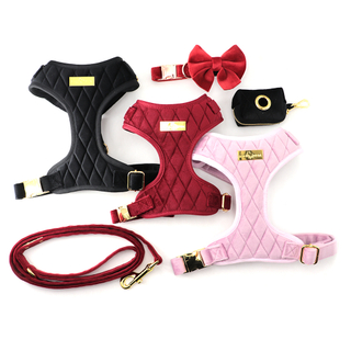 Custom Logo Luxury Comfortable Pet Dog Vest Collars Harness And Leash Set With Poop Bag