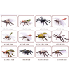 12PCS Simulation Plastic PVC Mini Insect Animals Models Spider Cockroach Beetle Grasshopper Dragonfly Ant Mantis Educational Toy