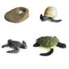 Chicken Teaching Material Butterfly Growth Cycle Action Figures Life Cycle Figurine Growth Cycle Model Simulation Animals