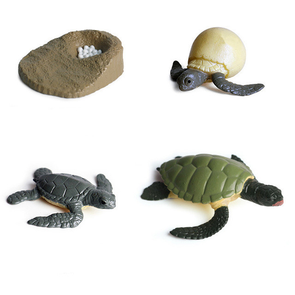 Chicken Teaching Material Butterfly Growth Cycle Action Figures Life Cycle Figurine Growth Cycle Model Simulation Animals