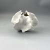 Creative Nordic White Ceramic Dried Flower Bottle Home Decoration Living Room Dining Table Study Flower Arrangement Ornament