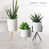 Small Succulent Planter with Metal Gold/Rose Gold Stand Modern Ceramic Minimalist Planter