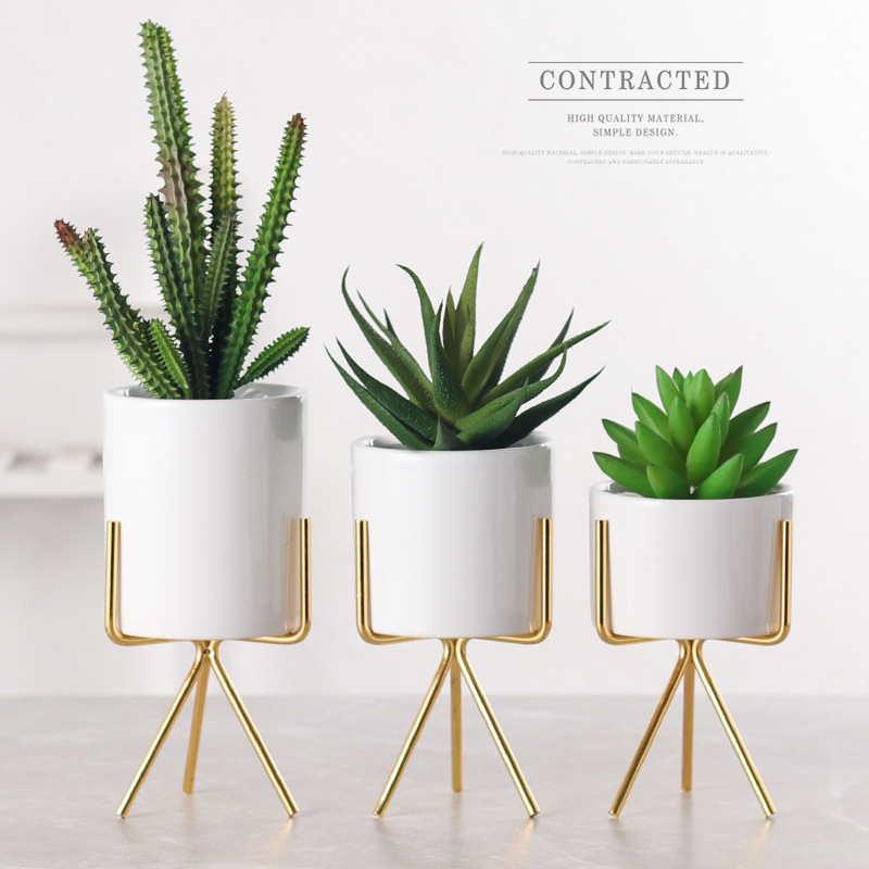 Small Succulent Planter with Metal Gold/Rose Gold Stand Modern Ceramic Minimalist Planter