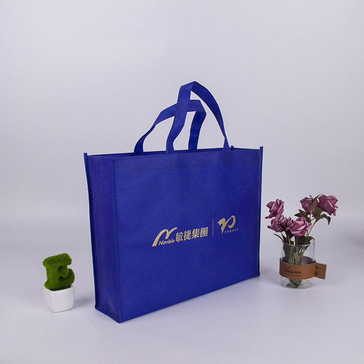 Custom Design Cheap Recycled Foil Laminated Non Woven Bag