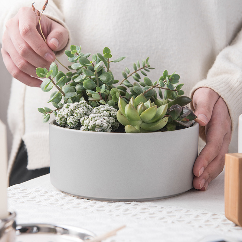 Wholesale Small White Hexagon Ceramic Flower Pots for Succulent Plants