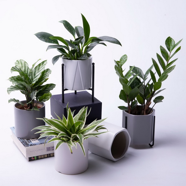 China Supply Indoor Ceramic Windowsill Planter Small Flower Pot
