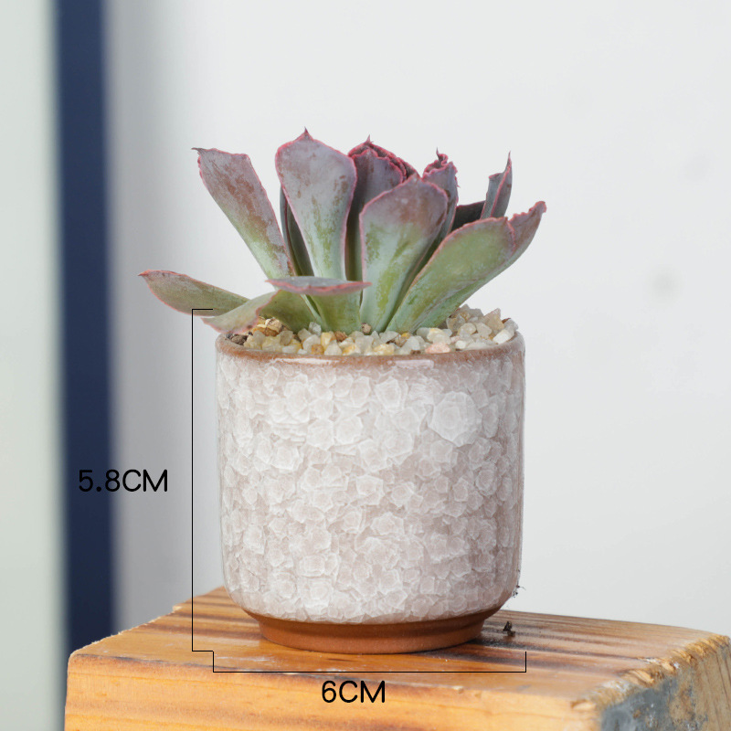 Ice Cracked Mini Desk Combination of Meat Small Fresh Color Ceramic Flowerpot