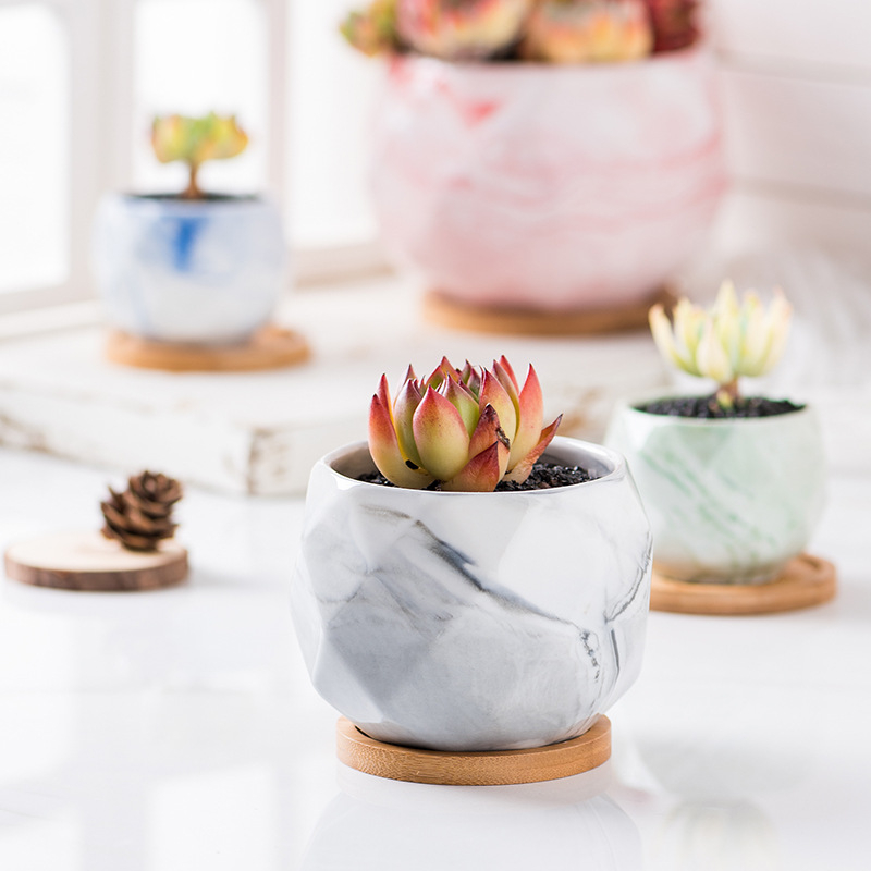 Cheapest Succulent Ceramic Flower Pot Plant Pots Wholesale Buy