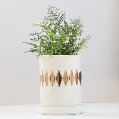 Marble Garden Ceramic Desktop Planter Succulent Plant Pot with Iron Metal Round Stand Holder