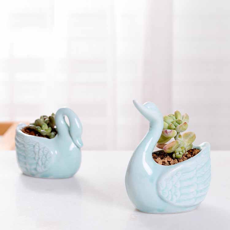 Ceramic Flowerpot Swan Flowerpot Cartoon Grocery Duck Succulent Flowerpot