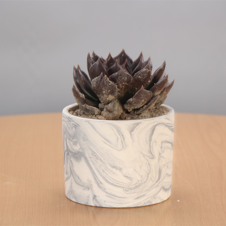 High Quality Office Cheap Small Flower Ceramic Pot